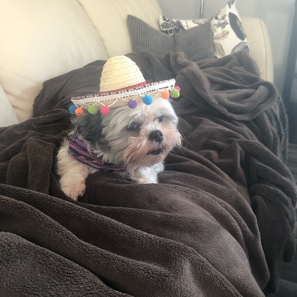 Meet your Posher, Alyssa - Picture 1 of 1